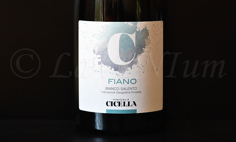 Fiano 2023 Vinicola Cicella