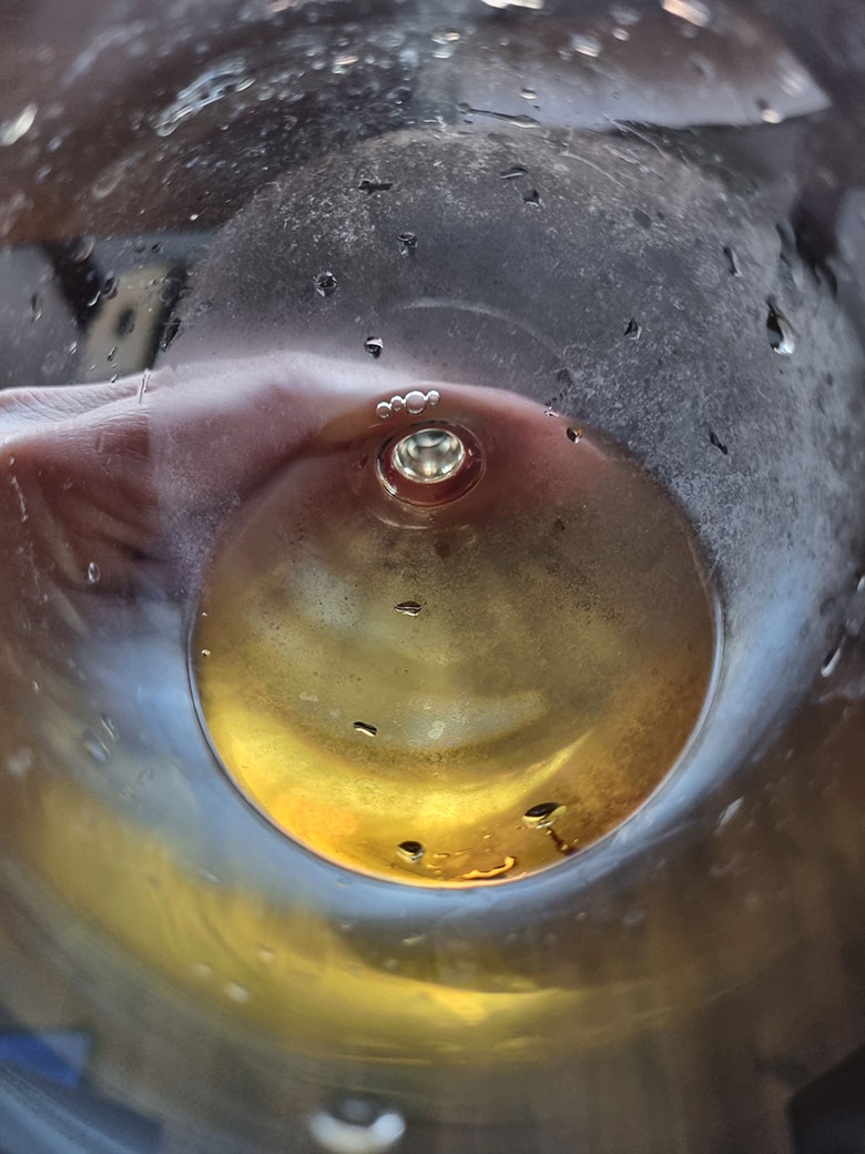 colore Soave Classico La Froscà 1996 Gini