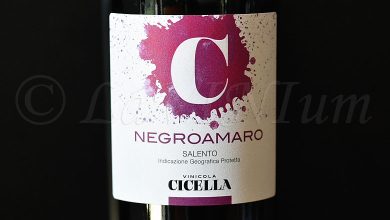 Negroamaro 2022 Vinicola Cicella