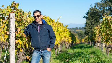 Nicola Cantoni in vigna