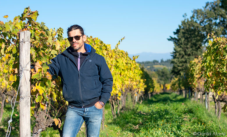 Nicola Cantoni in vigna
