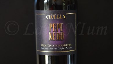 Primitivo di Manduria Pepe Nero 2021 Vinicola Cicella
