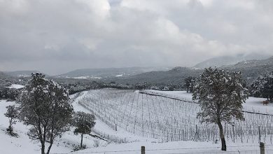 Tenuta Paltusa inverno 2018