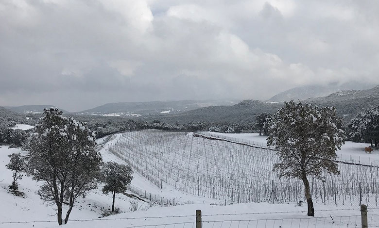 Tenuta Paltusa inverno 2018