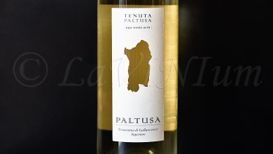 Vermentino di Gallura Superiore Paltusa 2022 Tenuta Paltusa