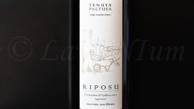 Vermentino di Gallura Superiore Riposu 2022 Tenuta Paltusa