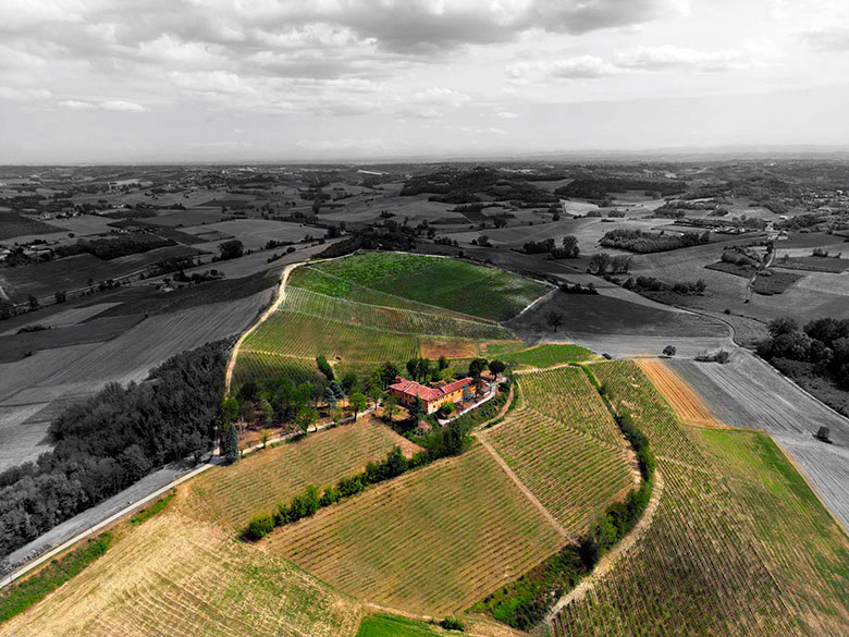 I vigneti di Tenuta la Fiammenga