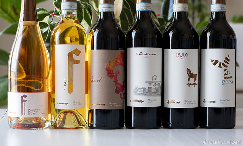 I vini della Tenuta la Fiammenga