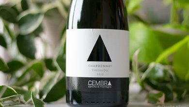 Trentino Chardonnay 2022 Cembra