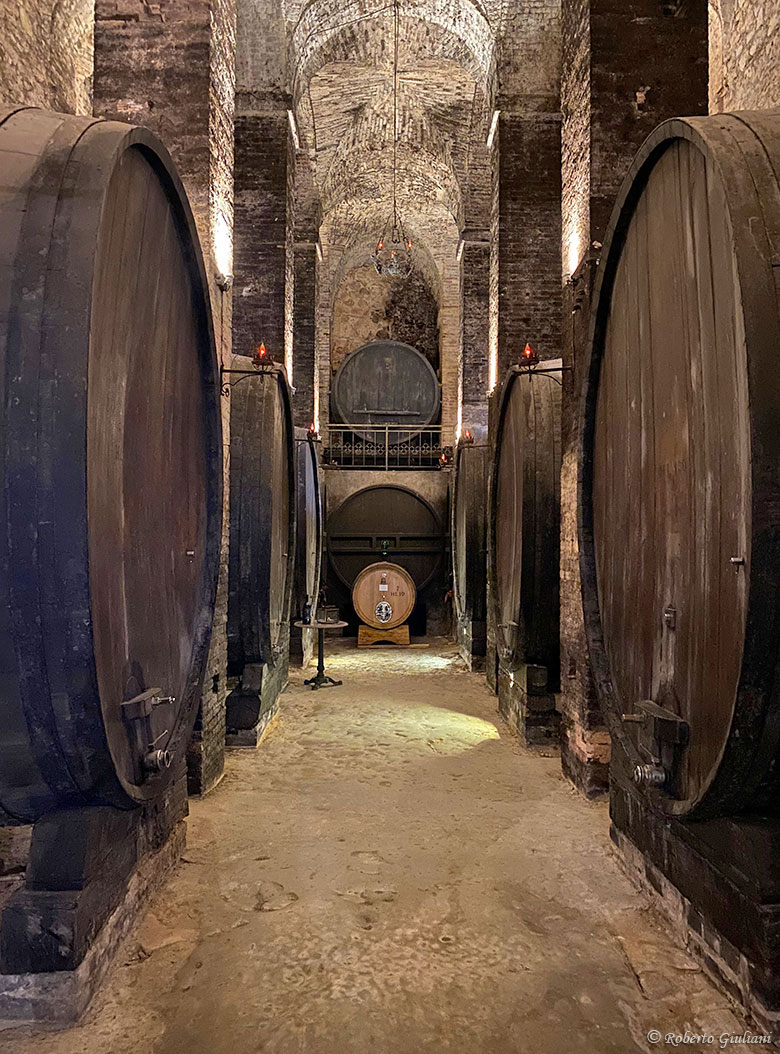 La bellissima cantina storica dell'azienda De' Ricci