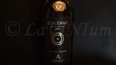 G'oceano Bianco Antica Vigna Sennore 2020 Cantina Arvisionadu