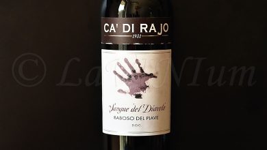 Raboso del Piave Sangue del Diavolo 2020 Ca' di Rajo