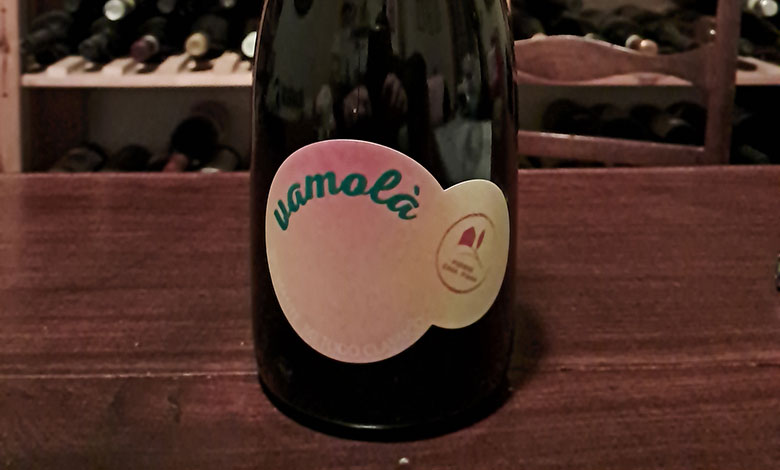 Vamolà Metodo Classico Millesimanto 2022 Podere Casa Piana