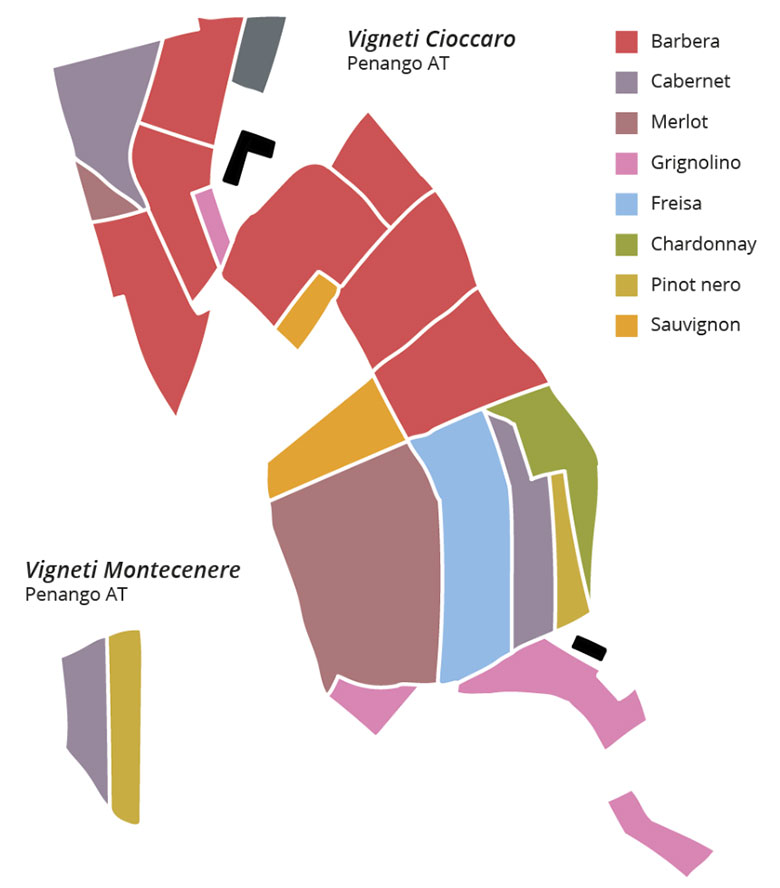 mappa delle vigne Tenuta la Fiammenga