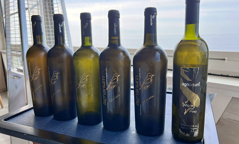 Verticale Falanghina Campi Flegrei Agnanum