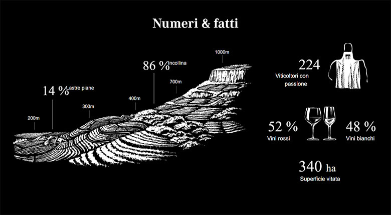 Cantina Bolzano numeri