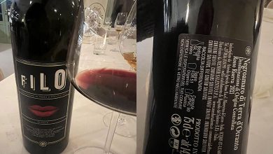 Terre d’Otranto Filo 2021 Menhir