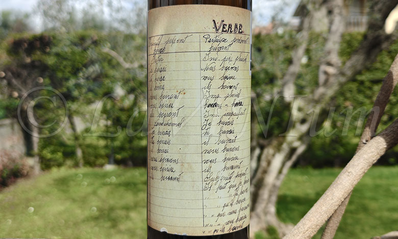 Bianco Gino 2022 Santuvario