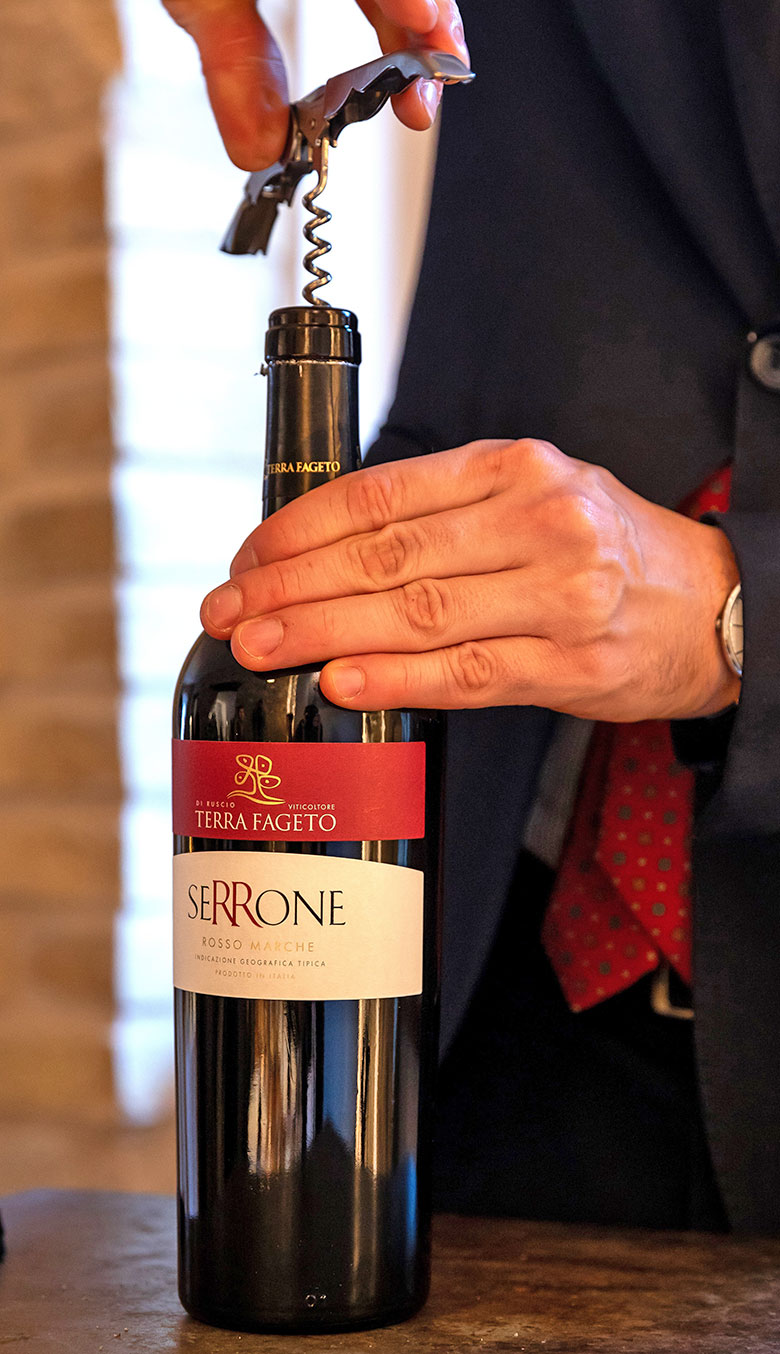 Marche Rosso Serrone 2020