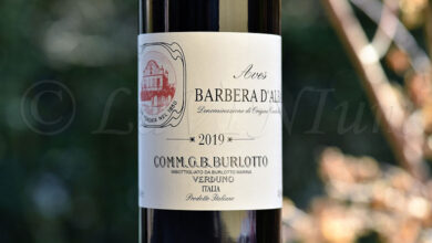 Barbera d'Alba Aves 2019 Burlotto