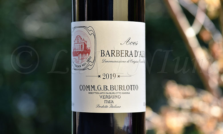 Barbera d'Alba Aves 2019 Burlotto