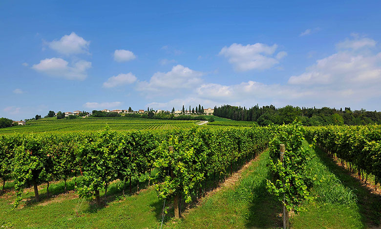Vigneti Custoza
