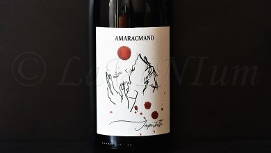 Sangiovese Imperfetto 2022 Amaracmand