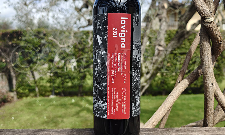 Lavigna 2021 Santuvario