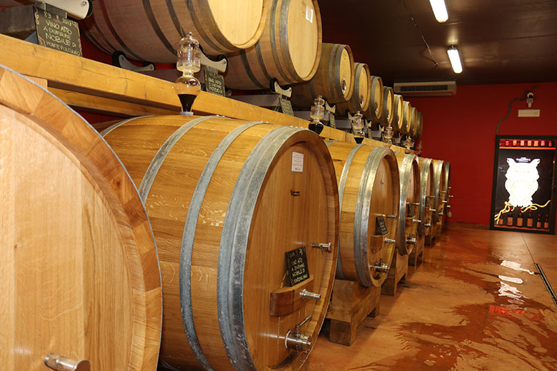 Podere Casanova cantina