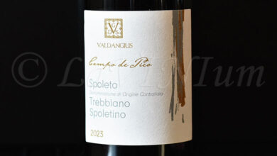 Spoleto Trebbiano Spoletino Campo de Pico 2023 Valdangius