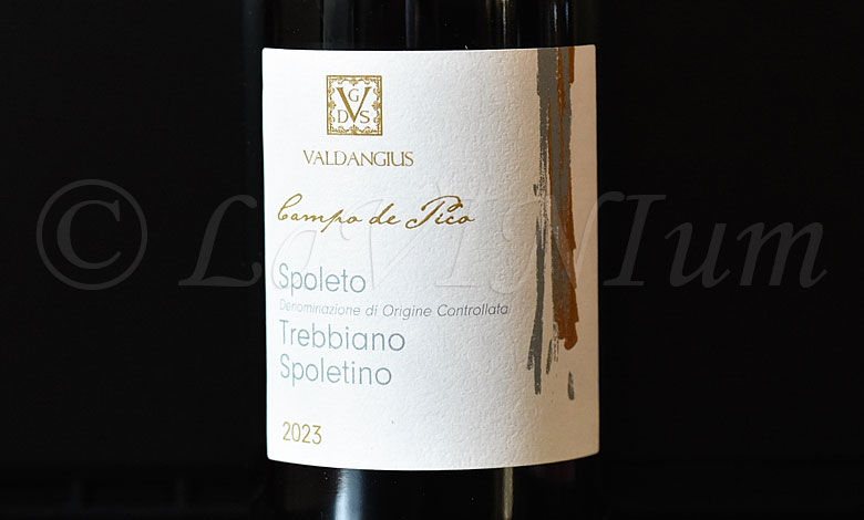 Spoleto Trebbiano Spoletino Campo de Pico 2023 Valdangius