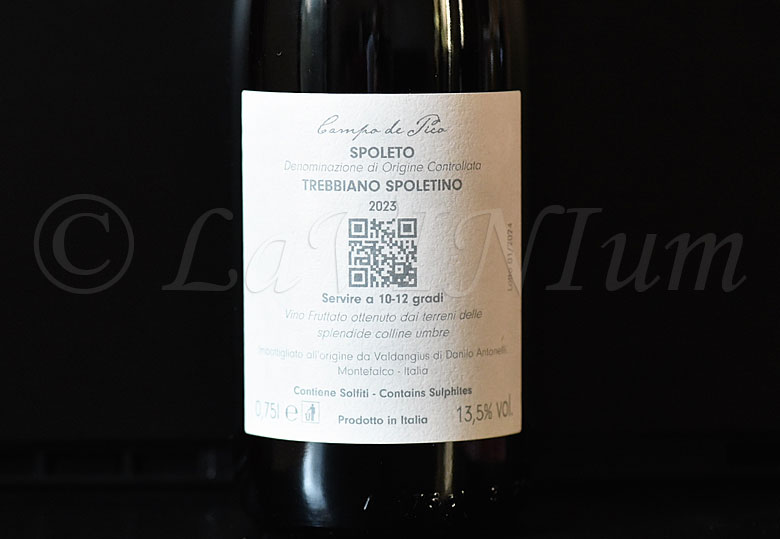 Spoleto Trebbiano Spoletino Campo de Pico 2023 Valdangius