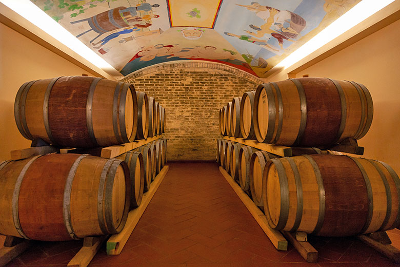 Terra Fageto bottaia