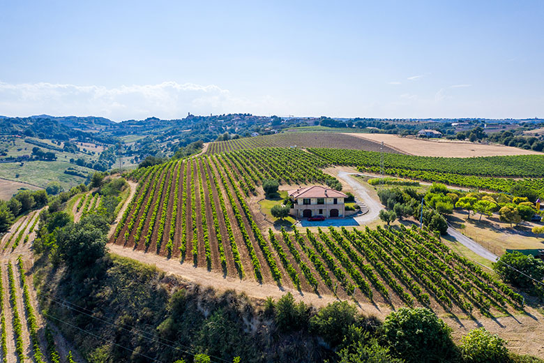 Terra Fageto Vigneti