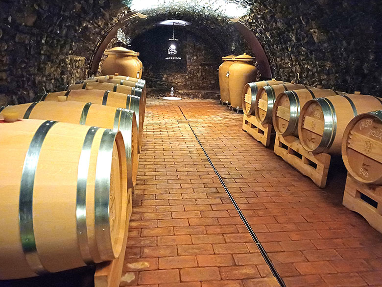 Torre di Terzolan cantina