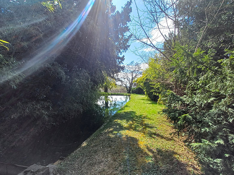 Torre di Terzolan tenuta