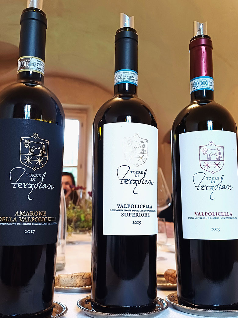 Torre di Terzolan vini