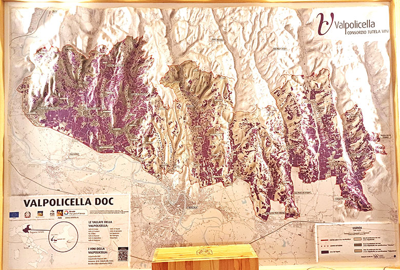 Mappa vigneti della Valpèolicella
