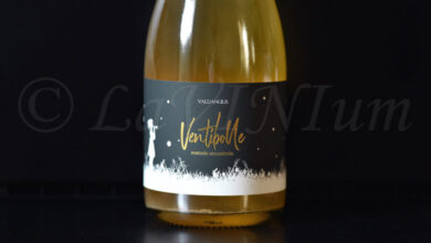 Bianco Frizzante Ventibolle Metodo Ancestrale 2022 Valdangius