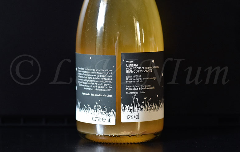 Bianco Frizzante Ventibolle Metodo Ancestrale 2022 Valdangius