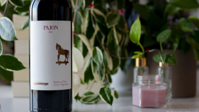 Barbera d'Asti Superiore Pajon 2022