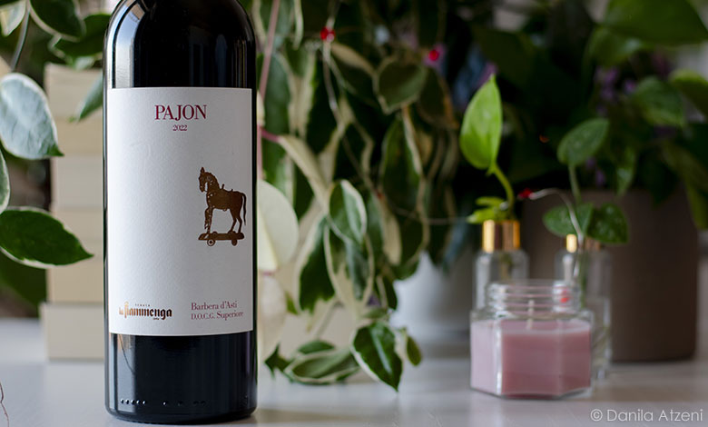 Barbera d'Asti Superiore Pajon 2022