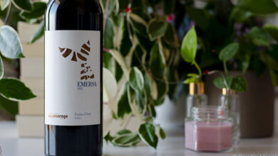 Freisa d’Asti Emersa 2022 Tenuta la Fiammenga