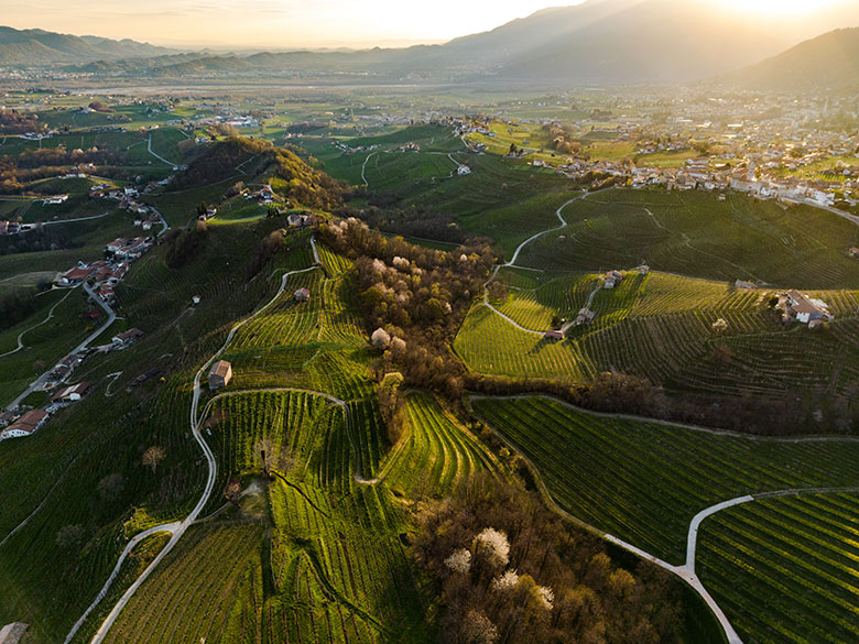 Cantina Produttori di Valdobbiadene