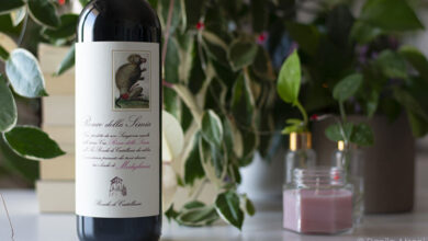 Romagna Sangiovese Modigliana Ronco della Simia 2020 Ronchi di Castelluccio