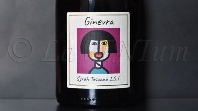 Ginevra Syrah 2019 Gli Archi