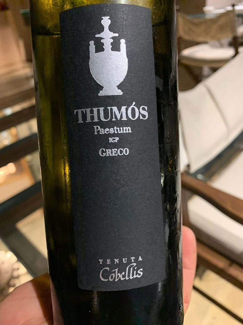 Thumos 2024 Cobellis