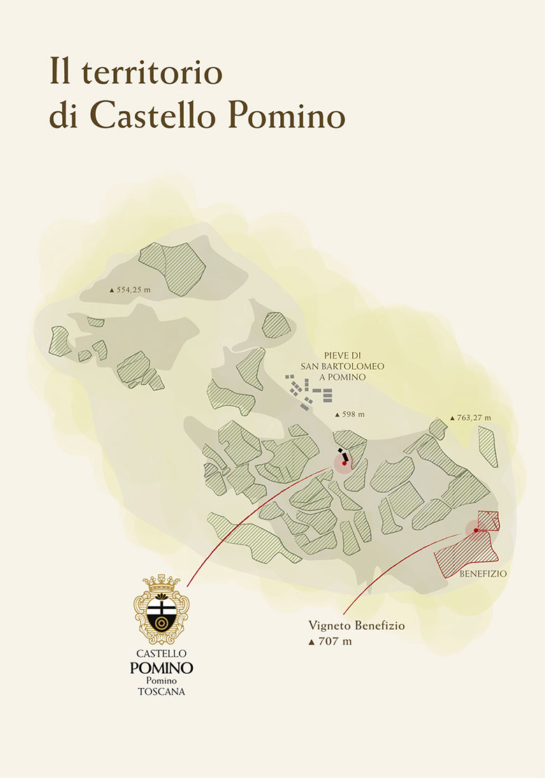 Vigneto Benefizio Castello Pomino