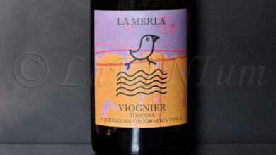 La Merla Viognier 2022 Gli Archi