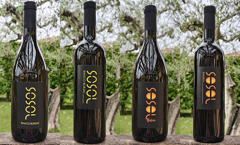 Borjan e Bakren 2023 Sosol